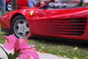 Ferraris at St. Armand's Circle