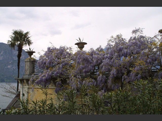 Villa Serbelloni