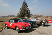 084 4°  Valtulini Fabio Camperi Beatrice ALFA ROMEO Giulia Spider 1600 1963 I