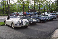 Jaguar Xk 120 Lightweight - Putnam / Juhan (GB)