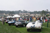 Jaguar D-Type Line-up