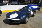 1954 Jaguar D-Type