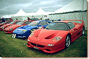 F40 LM s/n 74045 & F50 s/n 106995