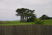 17 mile drive