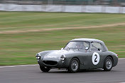 02 Austin Healey Sebring Sprite Stirling Moss