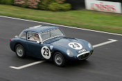 29 Austin Healey Sebrign Sprite Richard Skipworth