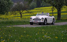 Austin Healey 3000