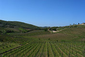 Tuscan scenery en route to Impruneta