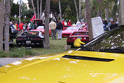 Ferraris at St. Armand's Circle