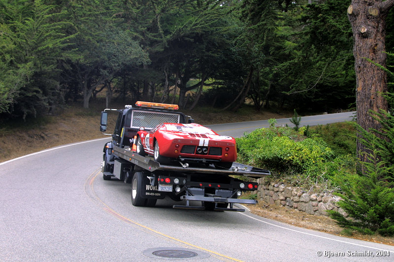 Seen at 17-mile-drive