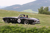 333 Rob Mitchell Satch Carlsson BMW 507 1957 D