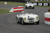 09 Austin Healey 100 S Johnny Herbert