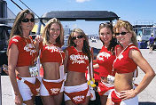 Pirelli Girls replacing Hawaian Tropic's