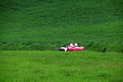 Ferrari 250 Testa Rossa Spider Scaglietti, s/n 0720TR