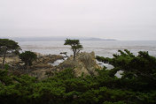 Cypress Point