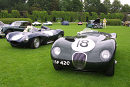 Jaguar C Type s/n XKC 051 - Owner Adrian Hamilton - Sir Stirling Moss - 1st in '53