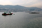 Vigo