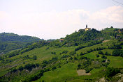 Vignola