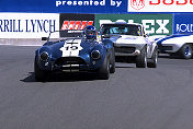 Cobra chased by 'vettes