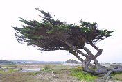 17 mile drive