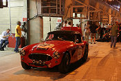 262 AUSTIN HEALEY 100/6  ROGERS / WOOLLEY