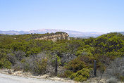 Laguna Seca