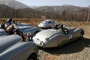 032 2°  Piccioni Giovanni Oliani Patrizia JAGUAR XK 120 OTS 1952 I