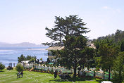 Pebble Beach