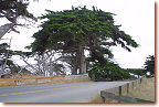 17 mile drive