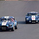 AC Cobra Mark II & AC Cobra Daytona Coupe