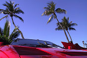 Ferrari 288 GTO s/n 55711