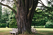 Cottesbrooke Hall