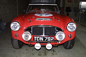 Austin-Healey 100-6 (Timothy Rogers) (2)