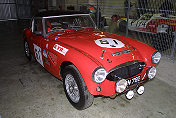 Austin-Healey 100-6 (Timothy Rogers) (1)