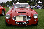 Austin Healey 100-6 Works Rally car