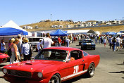 Shelby Mustang GT-350 s/n 6S1104